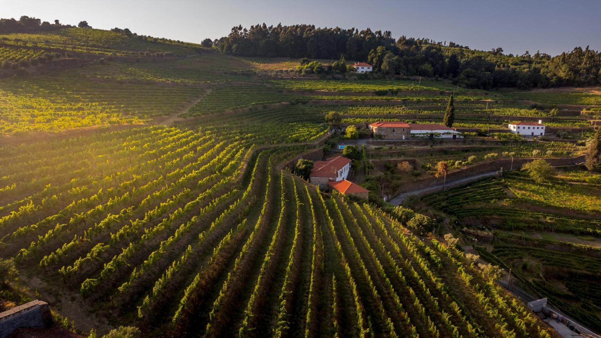 Quinta De Sobre A Fonte Charming Apartments Fontelas エクステリア 写真